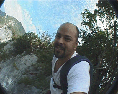 83418-tree-tb.gif