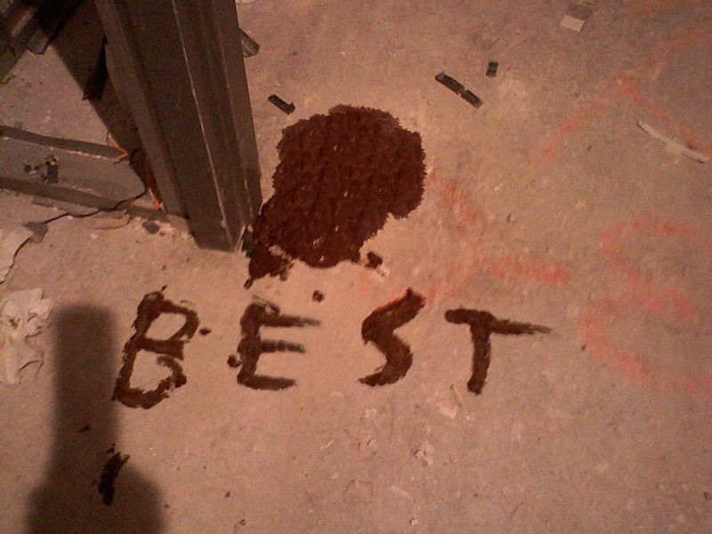 84419-best-shit-.jpeg